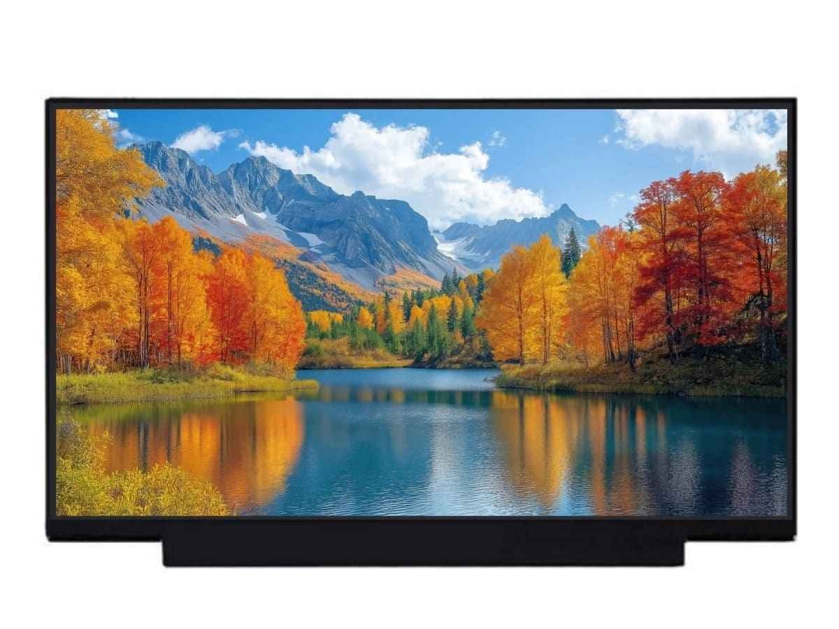 Visiodirect® Dalle ecran 16.1" LED compatible avec OMEN HP 16T-B100